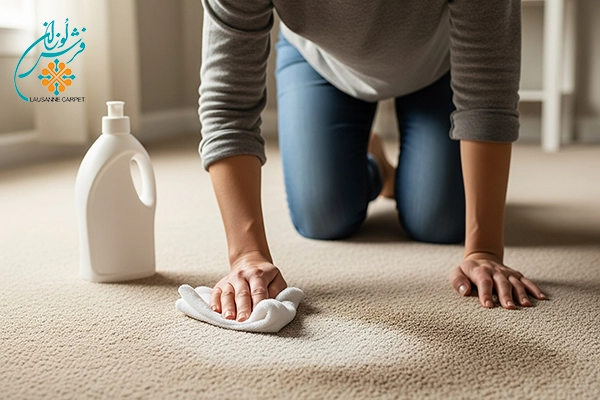 Cleaning carpets with carpet shampoo